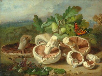 Still Life with Mushrooms, 1859 by Unknown